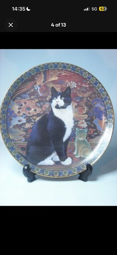Choice cats around the - choice,