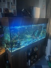 Clear Seal 5ft 500l Fish Tank Aquarium