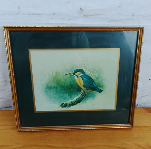 Kingfisher bird basil - kingfisher, ede