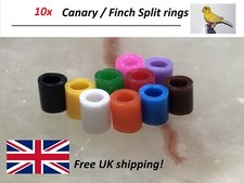 Bird split rings colours - 10,