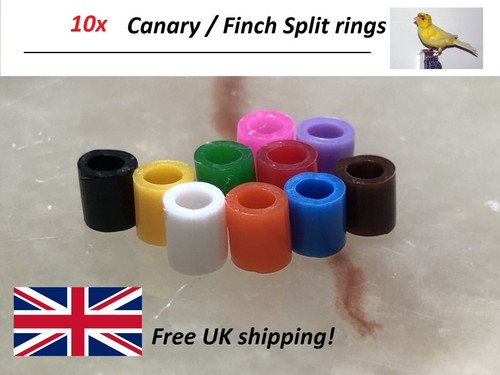 Bird split rings colours - 10,