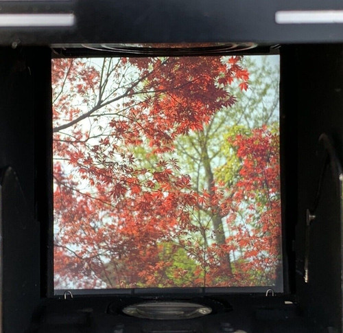Bright screen rolleiflex 5 - bright, f