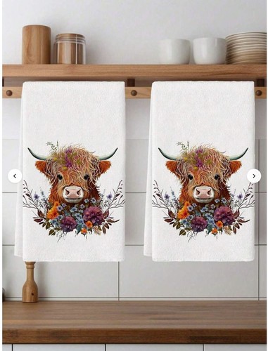 Highland cow kitchen - highland, hand