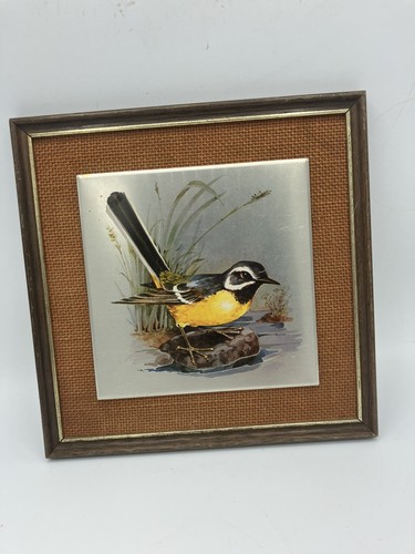 Pretty bird hanging wagtail - pretty,