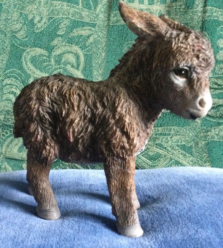 Very cute brown donkey - brown,