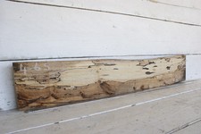 (465) SPALTED BEECH, HARDWOOD 1020 L x 175 - 161 W x 37 D (mm)