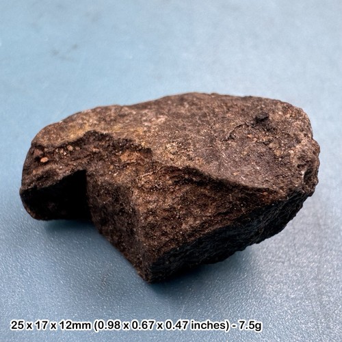 Common chondrite high iron - common,