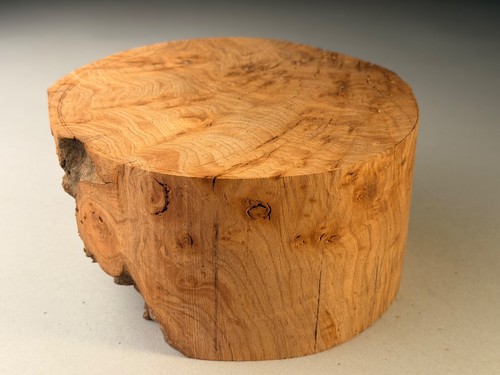 Burr elm wood - wood, turning