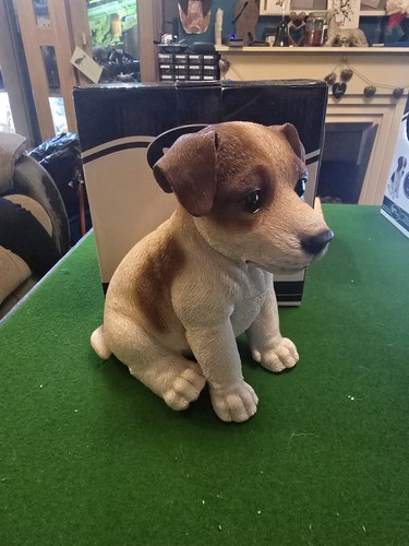 Vivid arts jack - vivid, puppy