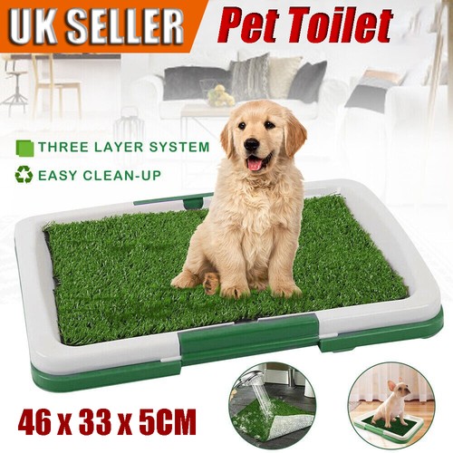 Large pet dog - toilet, mat