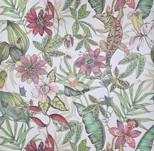 BL1702 Multicolor white Jungle