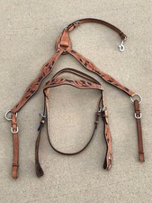 Horse Show Saddle Tack Bridle