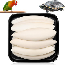 9pcs cuttlefish for - cuttlefish, and