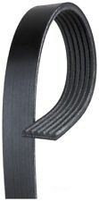 Gates V-Belt for Ford F150 Lobo Lincoln Mark LT Tracer 5.0 L