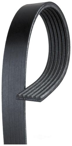 Gates belt for - gates, f150