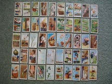 Vintage Wills Garden Hints