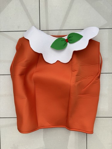 Fancy dress costume christmas - fancy,