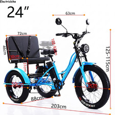 Electric Fat Tire Trike 48V