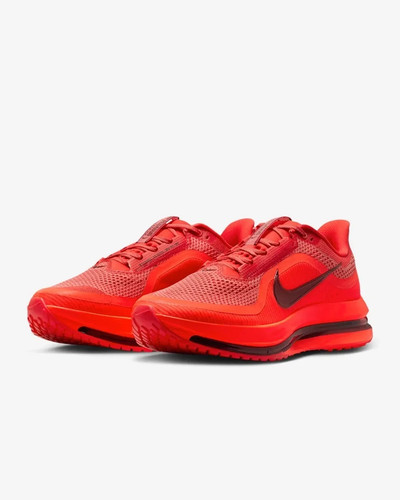 Nike pegasus premium - nike, light