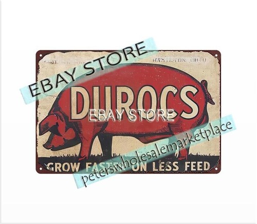 Hog pig livestock farm duroc - livestock,