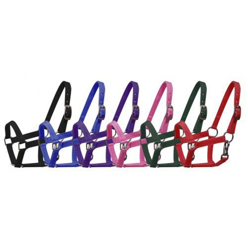 Mini horse sized nylon - mini,