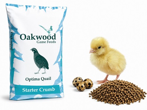 Quail chick crumb - quail,