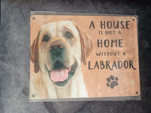 Golden labrador metal - labrador,