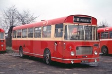 Bus Photo - PMT NBC 190