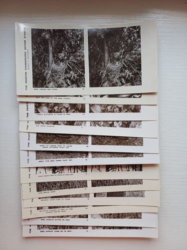 Antique kearton stereoscopic - antique,