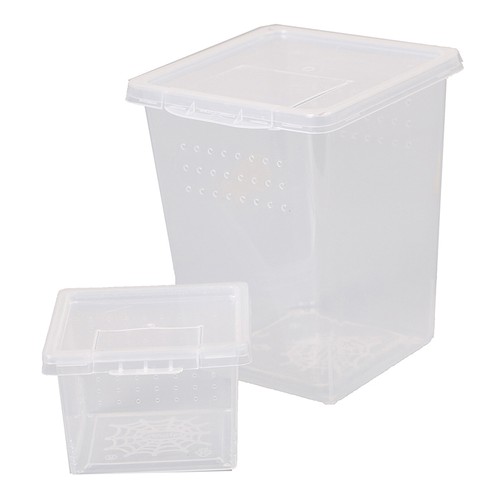 Plastic insect spider habitat - plastic,