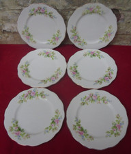 Vintage Royal Albert Moss Rose