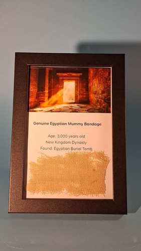 Genuine egyptian mummy - egyptian, bandage