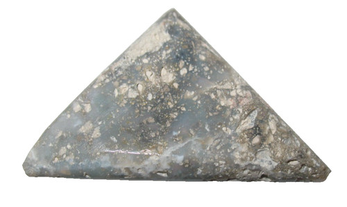 Cretaceous australian fossil - cretaceous,