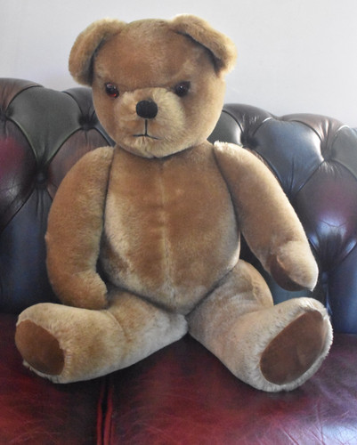 Vintage 1950s pedigree - pedigree, mohair