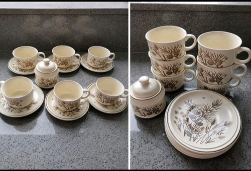 Grindley pinewood cups - 6, &