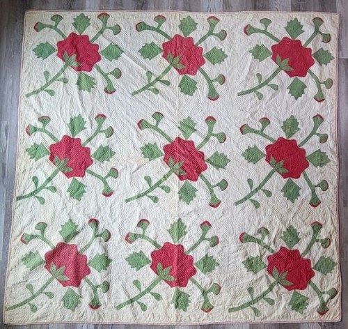 Antique coxcomb flower - antique,