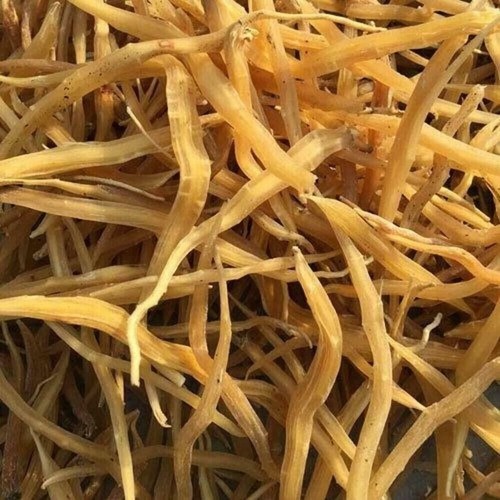 Shatavari root indian - shatavari,