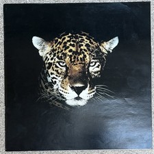 1991-92 JAGUAR Sales Brochure