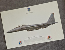 Squadron Print F-15E Strike Eagle 90-0248 48th Fighter Wing RAF  Squadron Prints