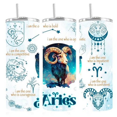 Zodiac aries 20oz skinny - 20oz,