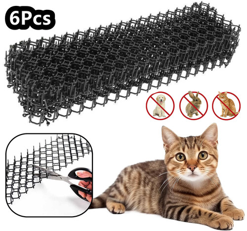Cat scat mat spike - mat,