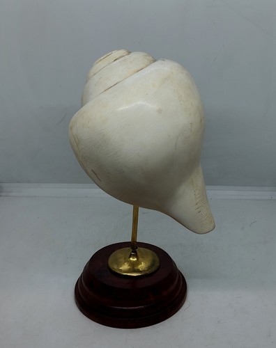 Antique tibetan monk - antique, conch