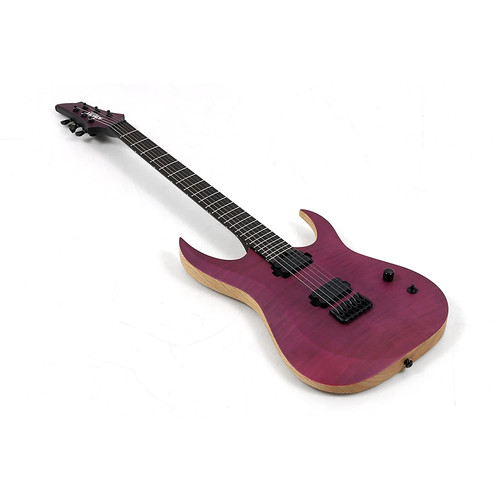 Schecter john browne tao6 - browne,