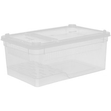 Cricket Keeper Reptile