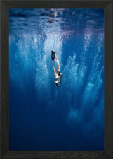 down dive sea Framed Wall Art