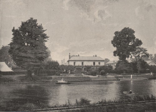 Eel pie island london - eel,