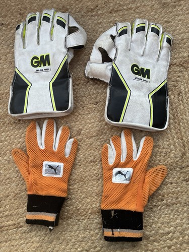 Cricket wicket keeper gloves - keeper,