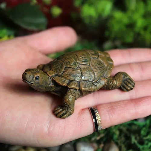 Turtle tortoise art outdoor - tortoise,