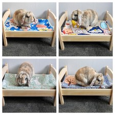 Small Pet, Rabbit, Guinea Pig, Cat Ikea style Hutch Run Pet Bed includes Cushion