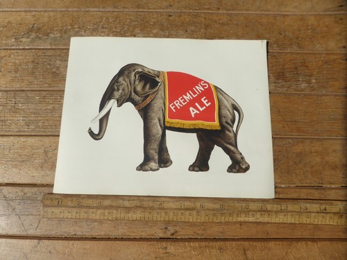 Fremlins ale elephant print - fremlins,